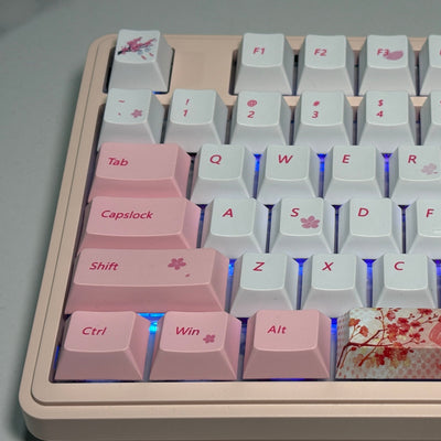 Keyboard Bundle: Maorbeng M87 Barebone + Akko Fairy Silent + Pink Sakura Keycap (Cherry Profile)