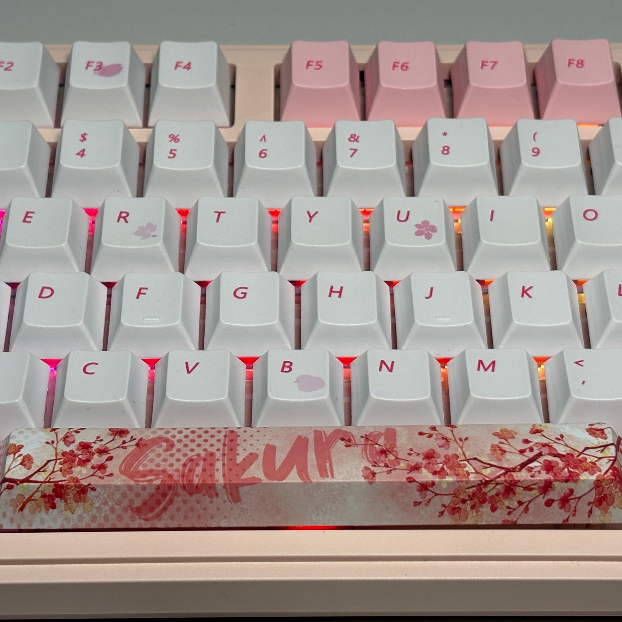 Keyboard Bundle: Maorbeng M87 Barebone + Akko Fairy Silent + Pink Sakura Keycap (Cherry Profile)