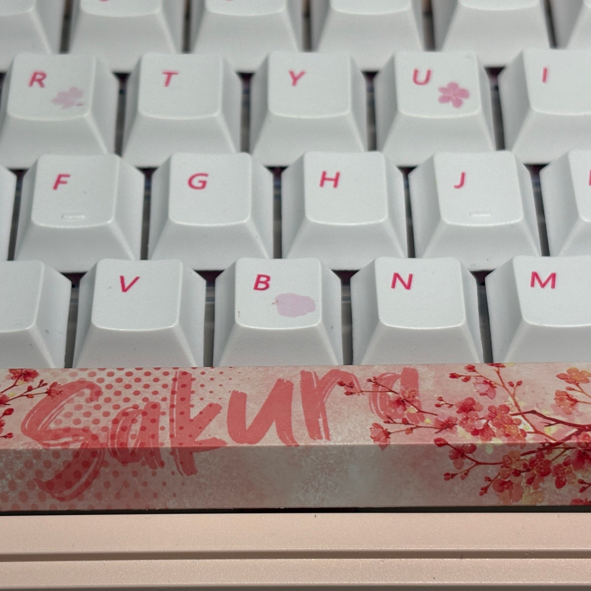 Keyboard Bundle: Maorbeng M87 Barebone + Akko Fairy Silent + Pink Sakura Keycap (Cherry Profile)